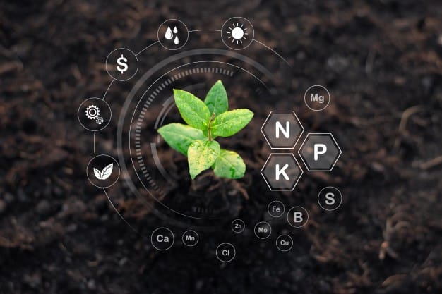 balanced fertilizers