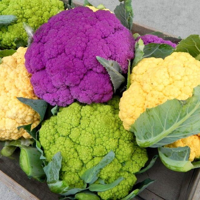 Cauliflower
