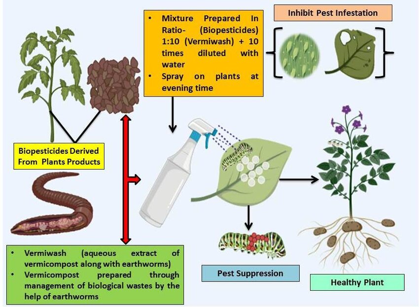Biopesticides