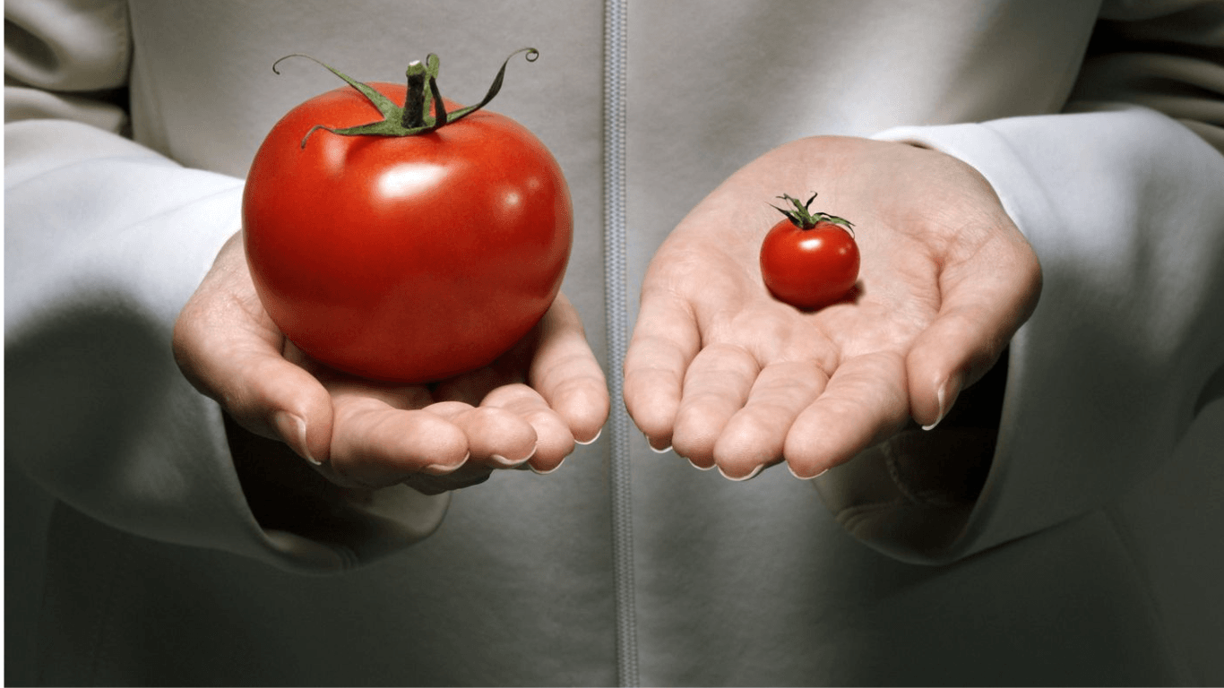Genetically Modified (GM) Crops