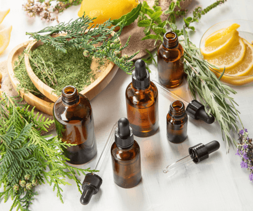 homemade pesticide for Indoor Plants