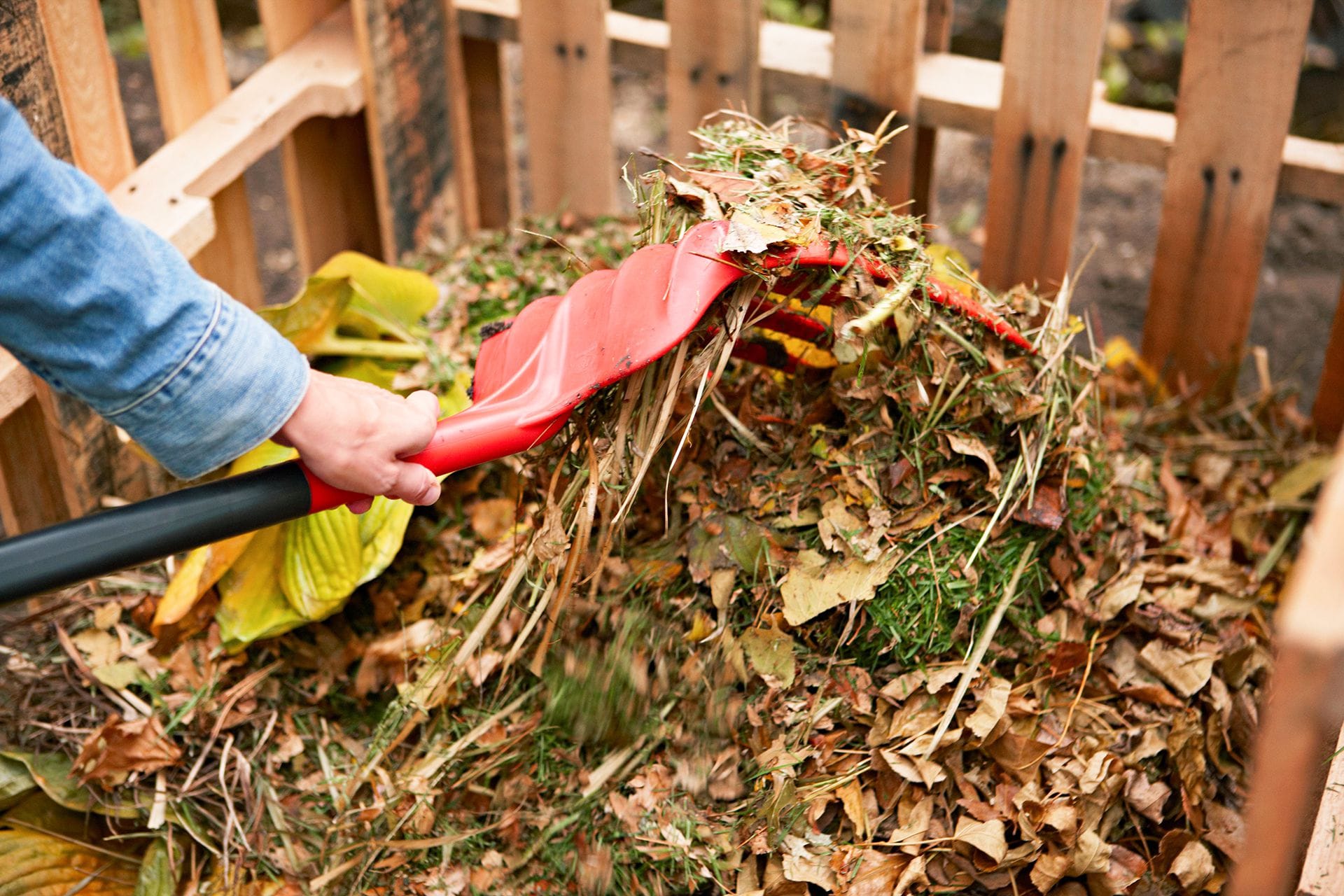 Compost As a fertilizer