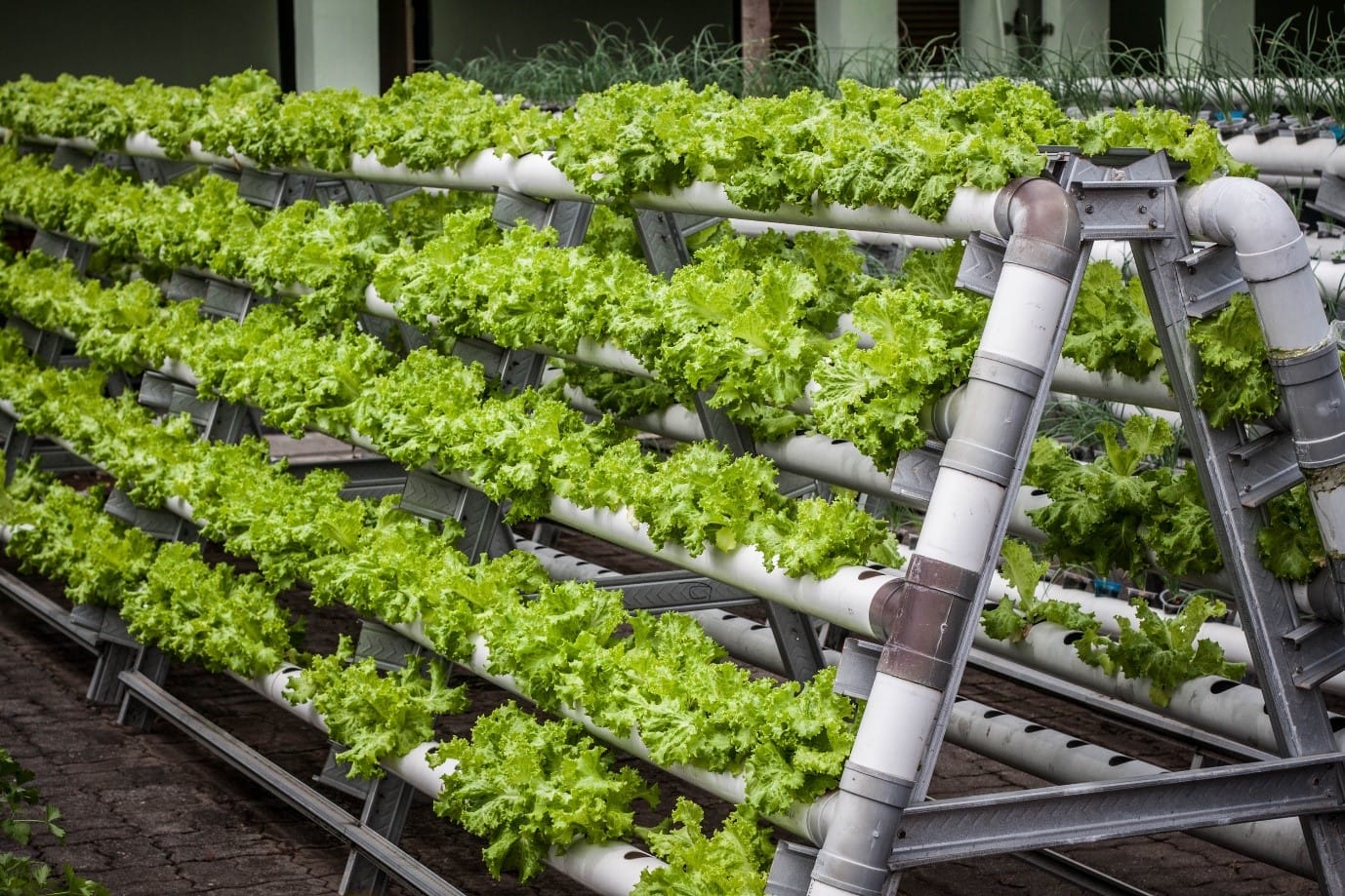 Vertical Farming