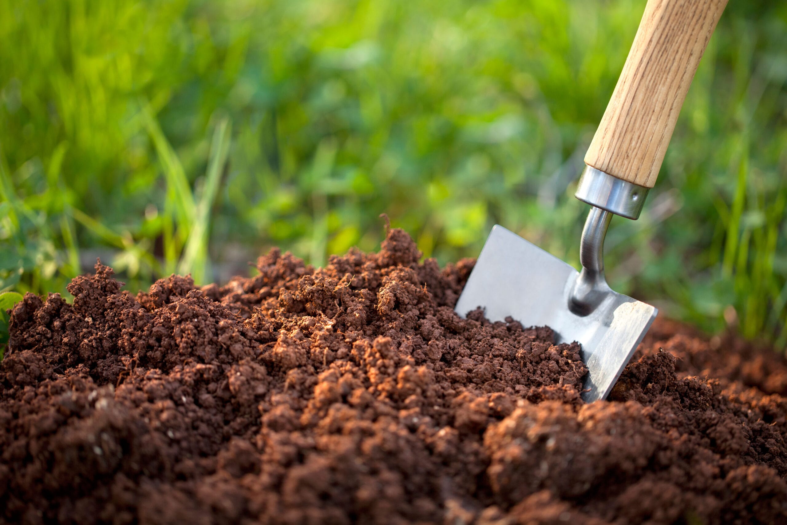 Garden Soil