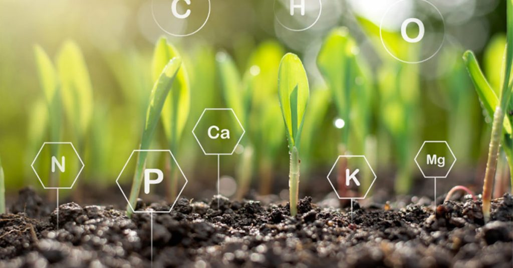 carbon farming