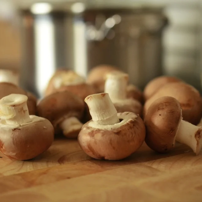 Benefits of Mushrooms