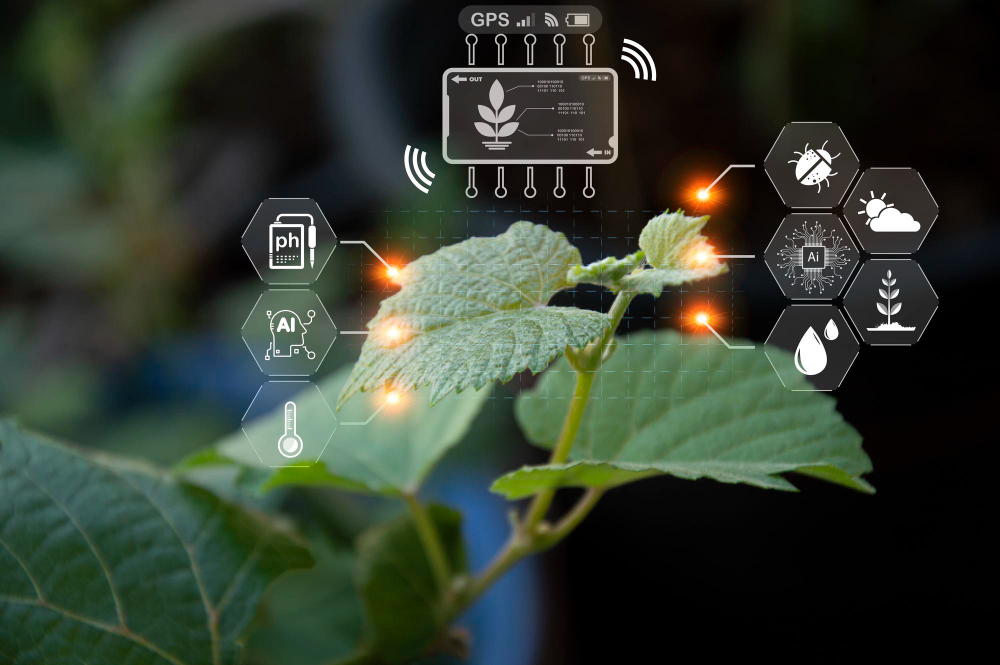 Smart Farming