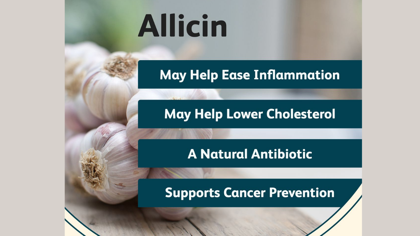Garlic Benefits