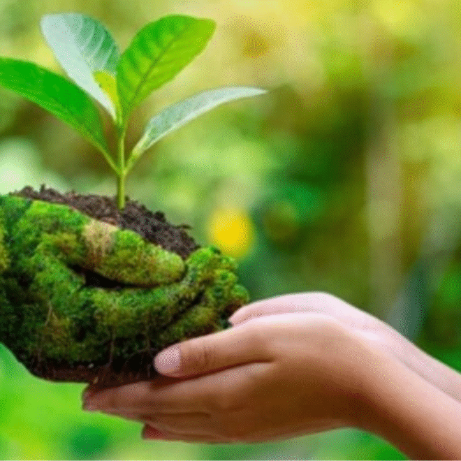 organic farming