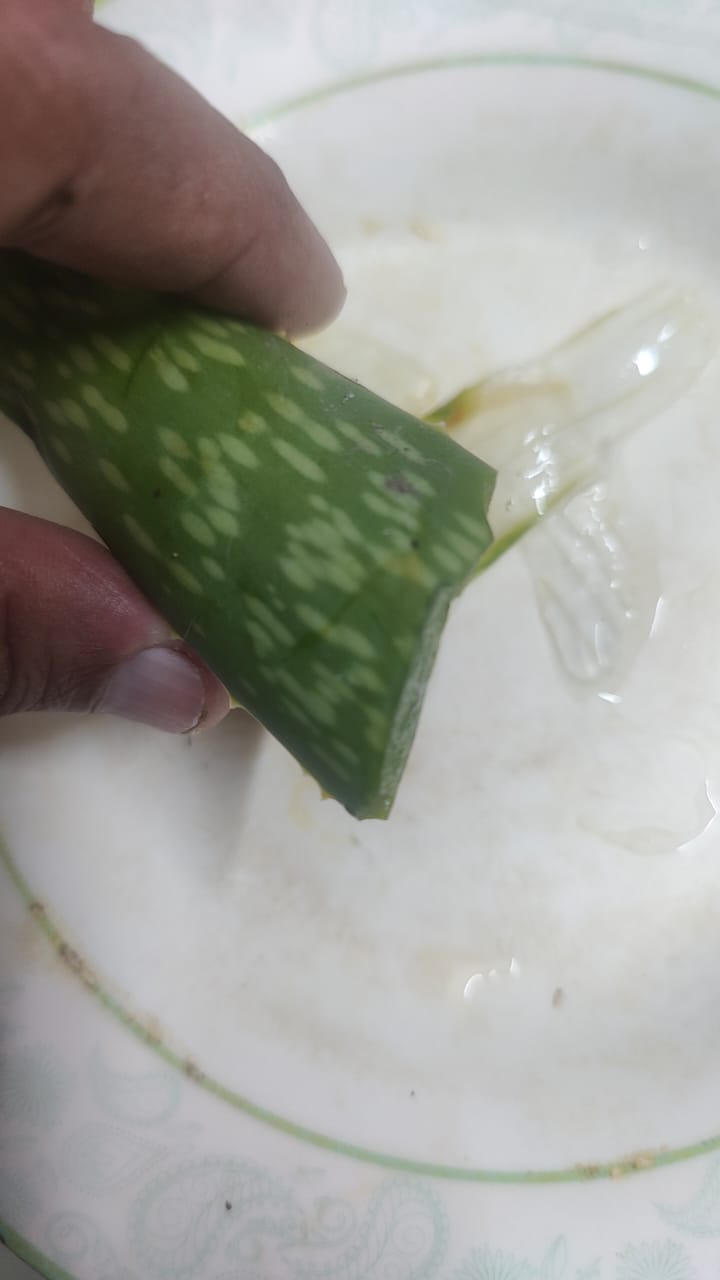 Aloe Vera Benefits