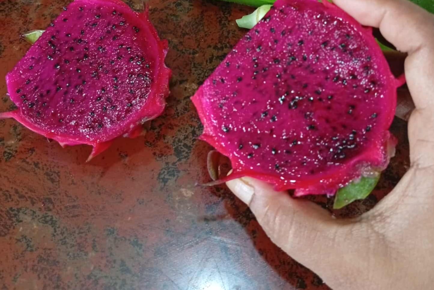 Dragon Fruit