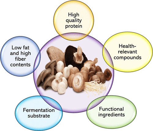 Immune Boosting Power