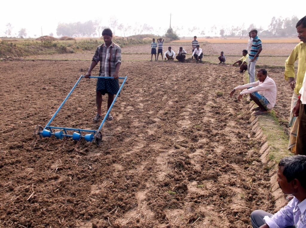 Sowing the Seeds for Jute Plant 