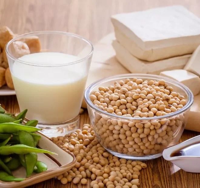 Benefits of Soya Seeds