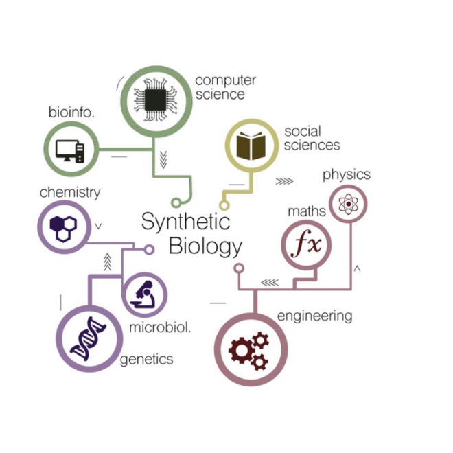 Synthetic Biology