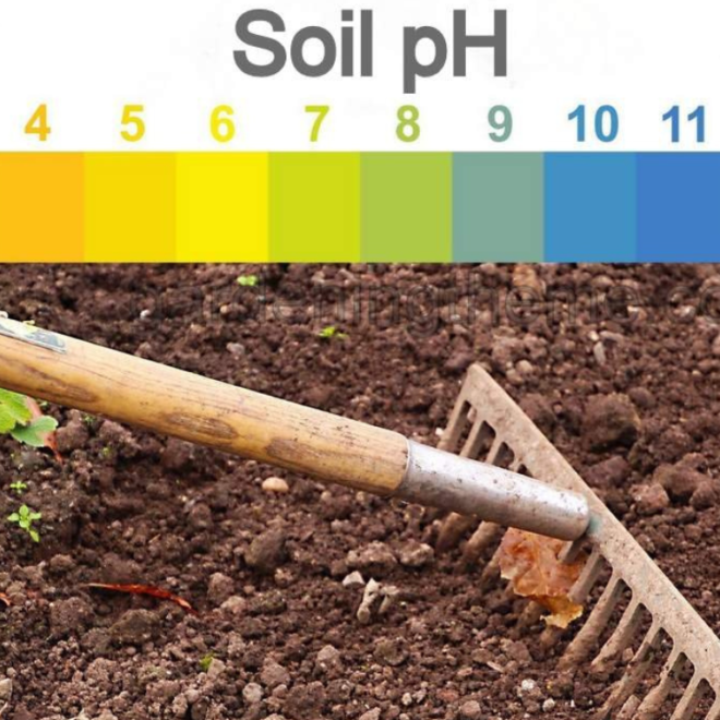 Soil pH
