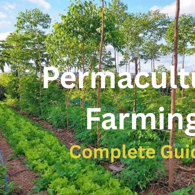 Permaculture Farming
