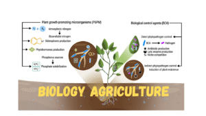 Biology Agriculture – Understanding Plants, Soil, and Growth