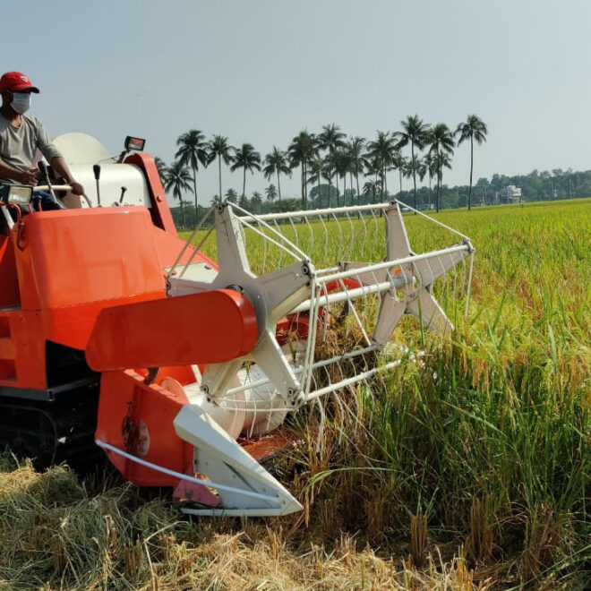 Commercial Agriculture