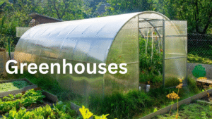 Greenhouses -How to Grow Plants Naturally and Efficiently