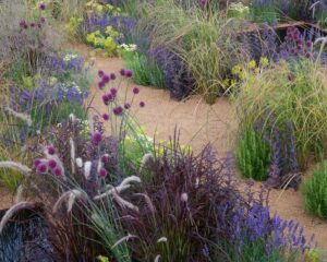 Ornamental Grasses – Top Varieties,Benefits,  Planting & Care Tips