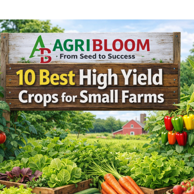 10 Best High Yield Crops for Small Farms