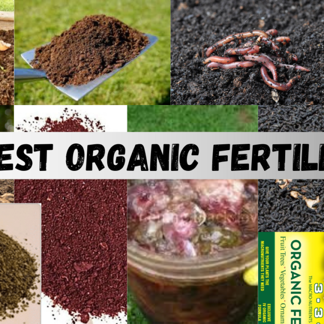 10 Best Organic Fertilizers