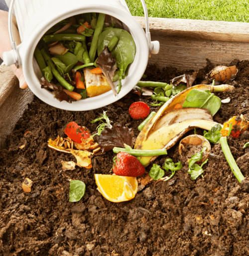 Compost for Plants – Boost Soil Health & Growth