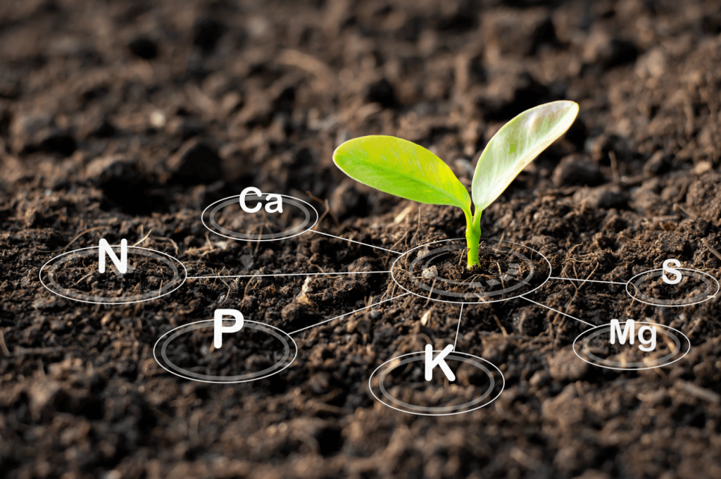 Healthy Soil – Key to Productive and Sustainable Farming