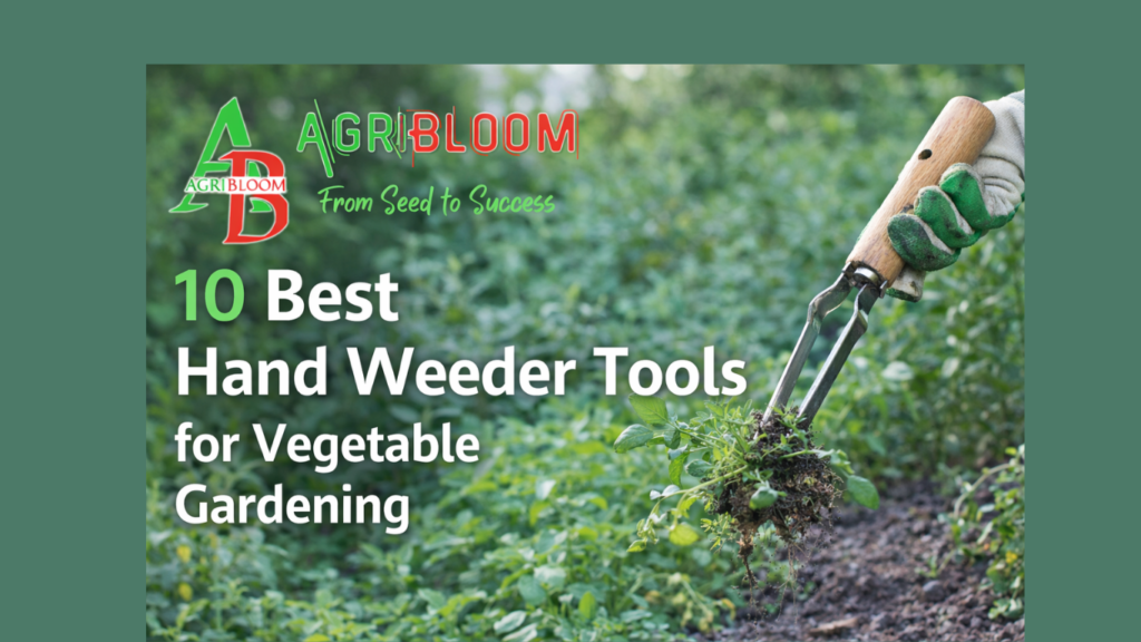 10 Best Hand Weeder Tools for Gardening-Easy Weed Removal