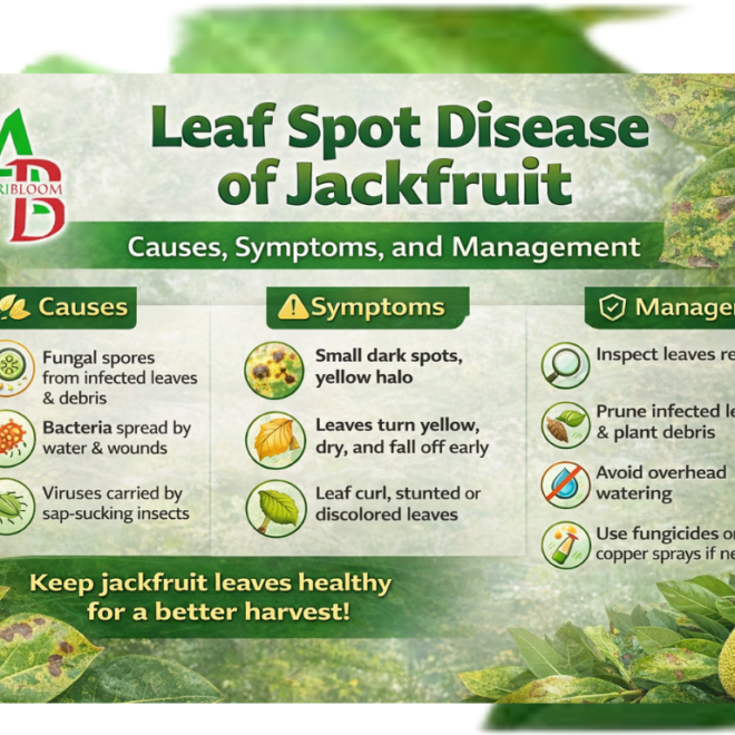 Leaf Spot Disease of Jackfruit - Causes & Management