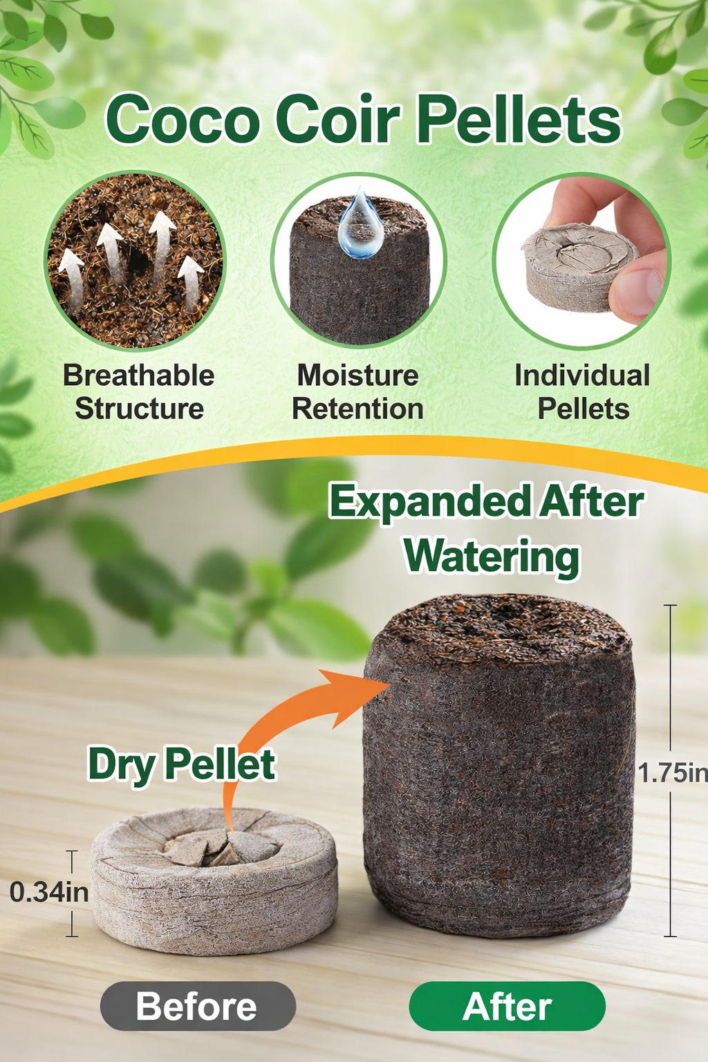 Buy Apipi 5 Pack Seed Starter Kit – 60 Coco Coir Pellet Tray - Image 3