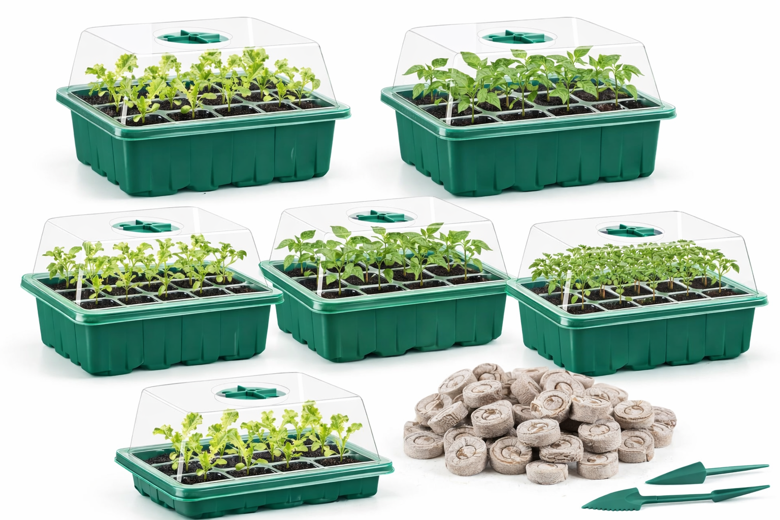Apipi 5 Pack Seed Starter Kit