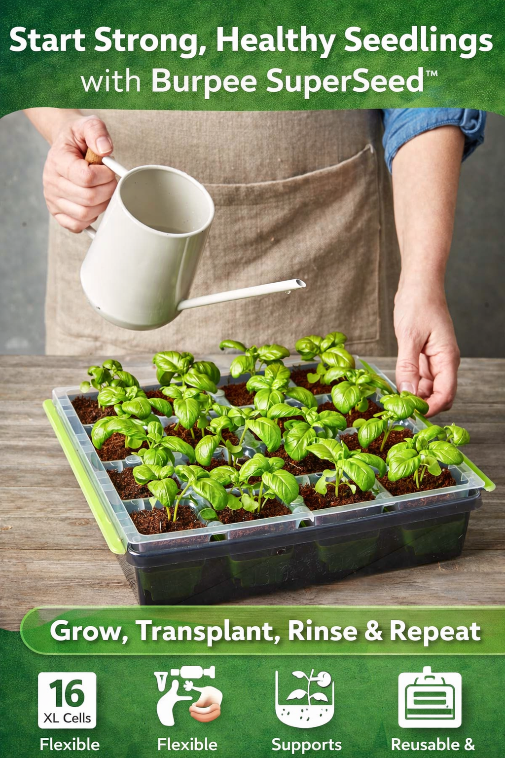 Buy Burpee SuperSeed Seed Starting Tray – 16 XL Cell Grow Kit - Image 3