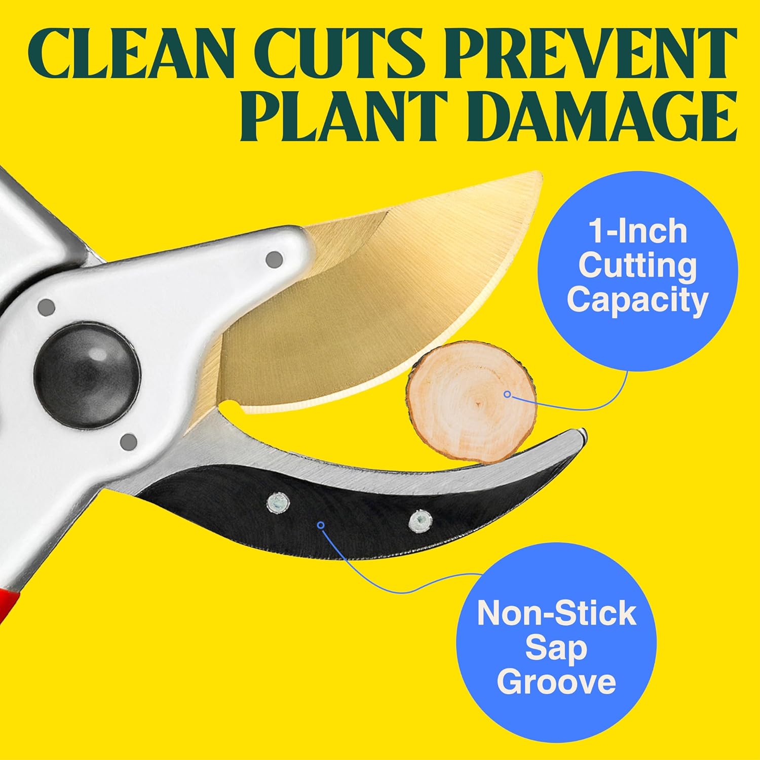 Buy Titanium Bypass Pruning Shears – Best Pruning Tool for Garden Plants - Image 4
