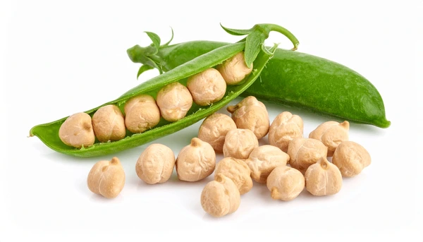 Chickpea