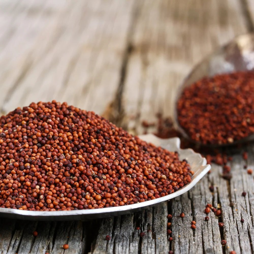 Finger Millet:  Drought Resistant Crops