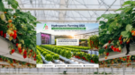 Hydroponic Farming USA – Cost, Profit & Setup 2026
