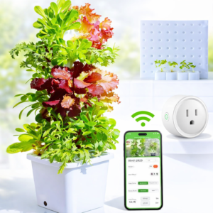 Hydroponic Growing System Kit