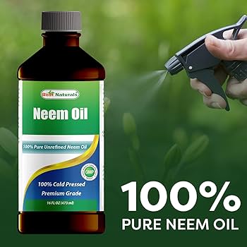 Buy Best Naturals Neem Oil – Natural Solution for Skin, Hair & Garden Care - Image 3