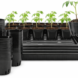 Square Nursery Pots with Tray