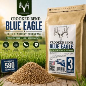 Kentucky Bluegrass Seed