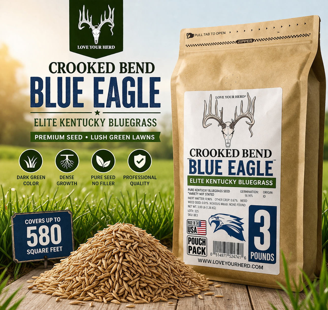 Kentucky Bluegrass Seed