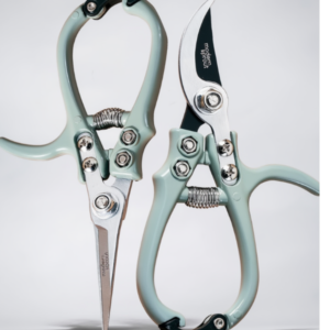 hand pruming and shears