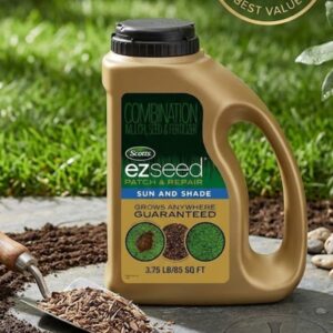 grass seed patch repair