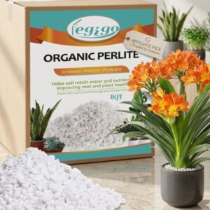 horticultural perlite