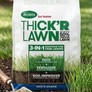 lawn thickening seed mix