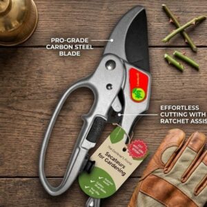 ratchet pruning shears
