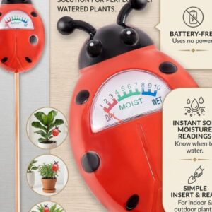 soil moisture meter