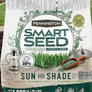 sun and shade grass seed